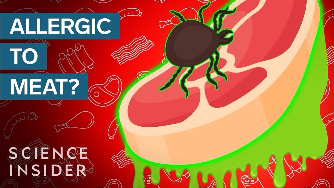Bug Bite Can Make You Allergic To Red Meat