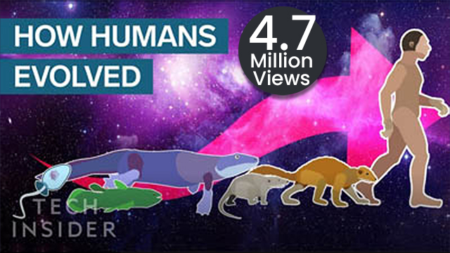 Incredible Animation Shows How Humans Evolved From Early Life