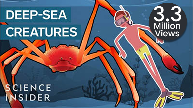 Incredible Animation Shows How Humans Evolved From Early Life